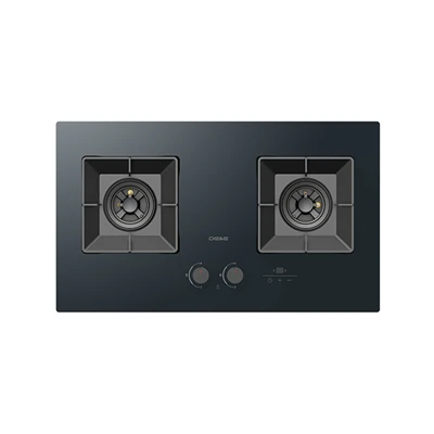 Table de cuisson à gaz à 2 brûleurs intégrée