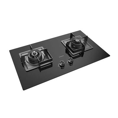 Table de cuisson au propane à deux brûleurs