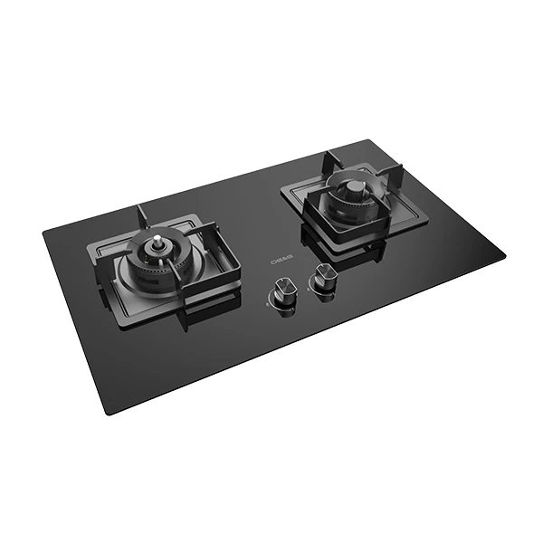 Table de cuisson au propane à deux brûleurs